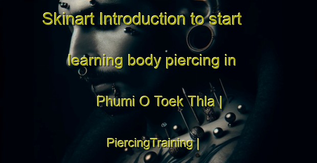 Skinart Introduction to start learning body piercing in Phumi O Toek Thla | PiercingTraining | PiercingClasses | SkinartTraining-Cambodia